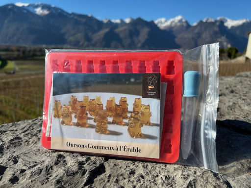 Kit d'oursons gommeux avec 2 moules